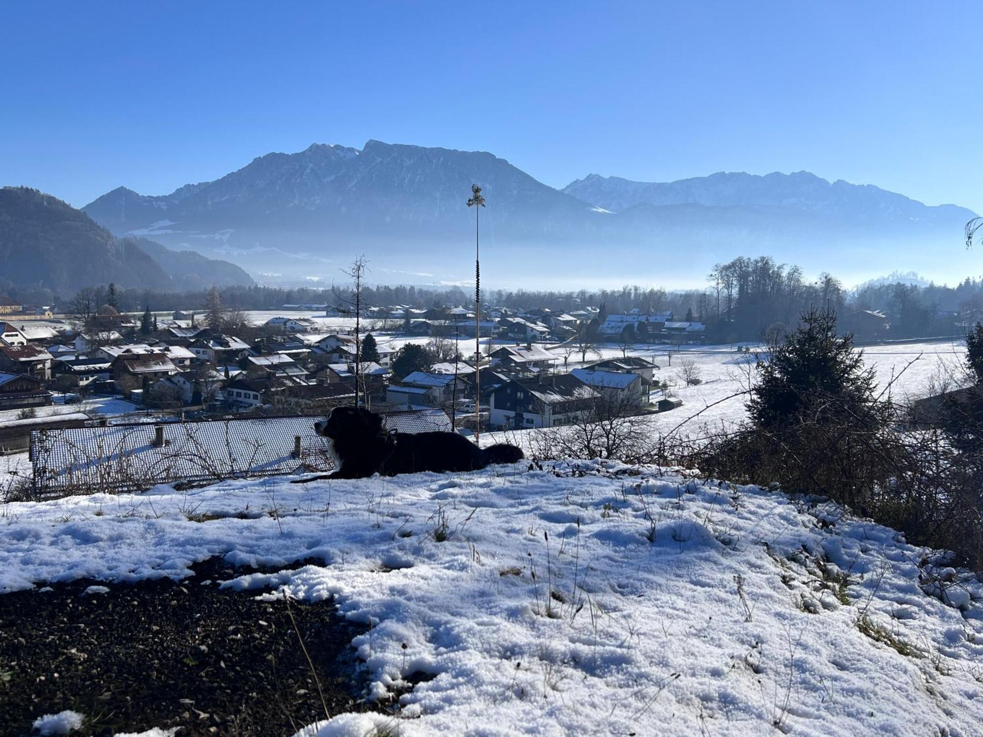 Ferienwohnung Bergwelten Oberaudorf Zewnętrze zdjęcie