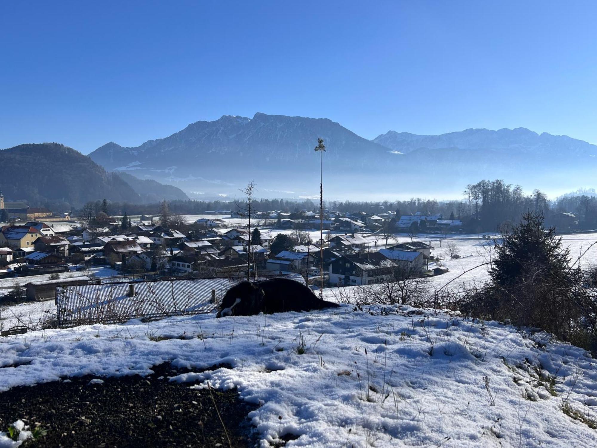Ferienwohnung Bergwelten Oberaudorf Zewnętrze zdjęcie
